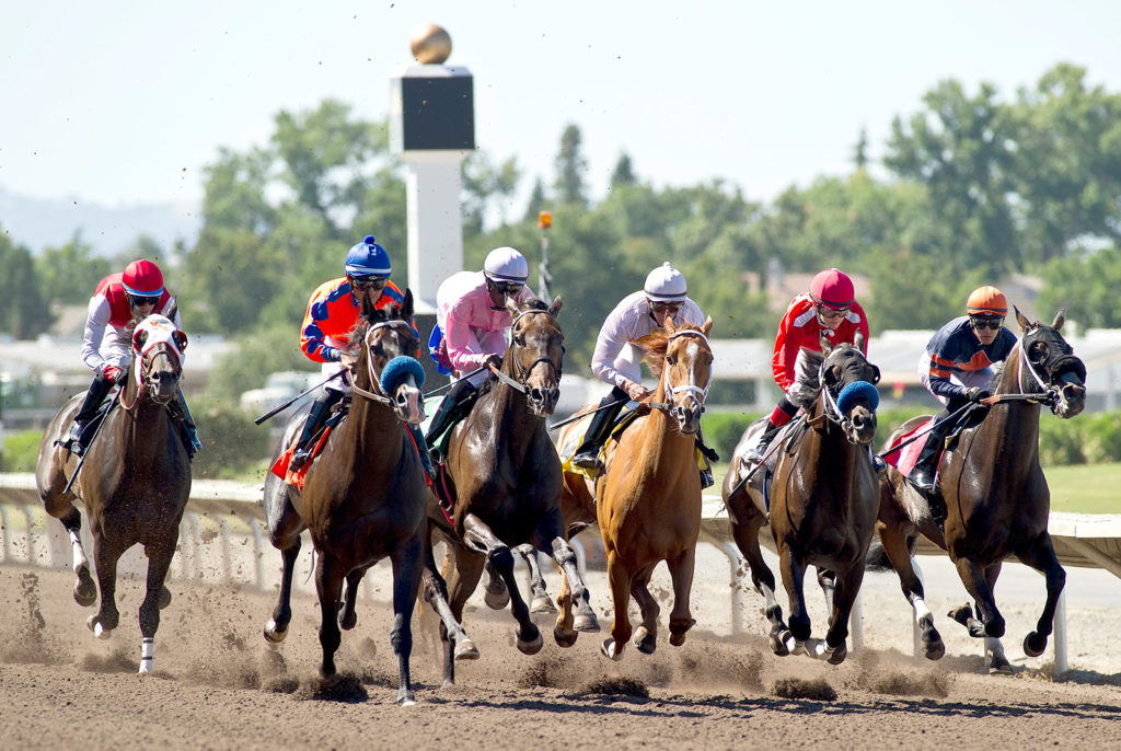 live racing Archives  Alameda County Fairgrounds