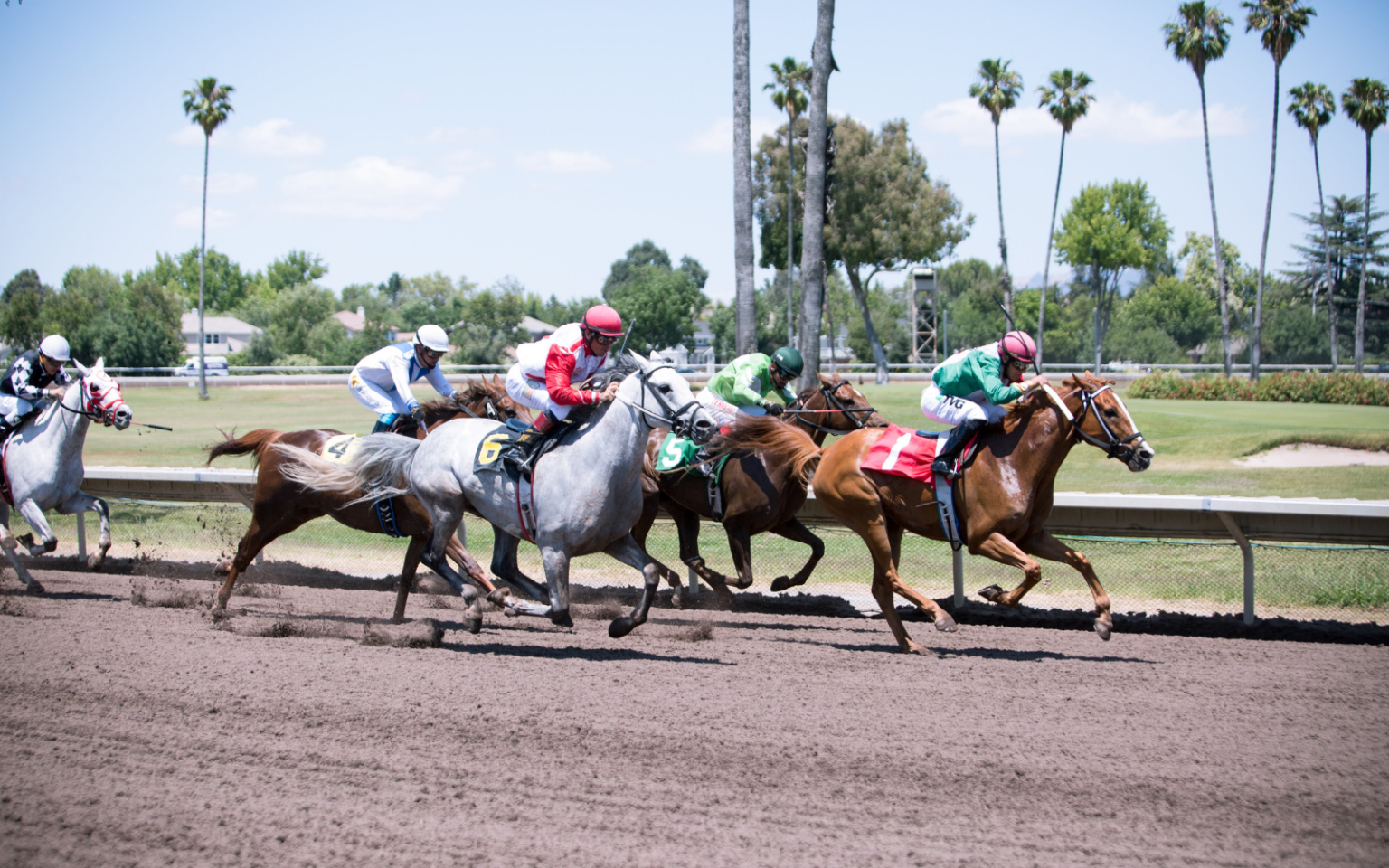 Live Racing Archives  Alameda County Fairgrounds