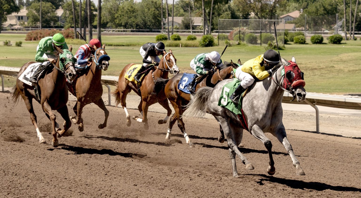 The final stakes race of the 2021 Alameda County Fair horse racing meet