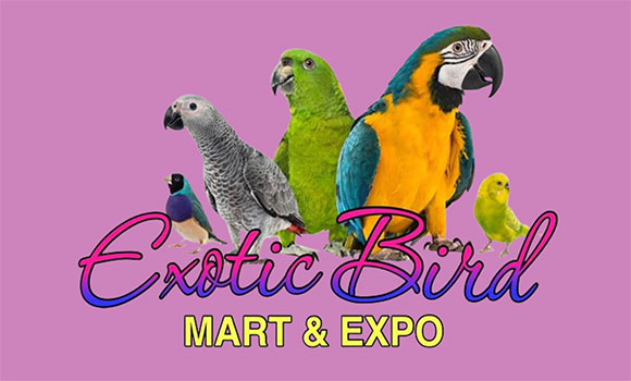 Exotic Bird Mart
