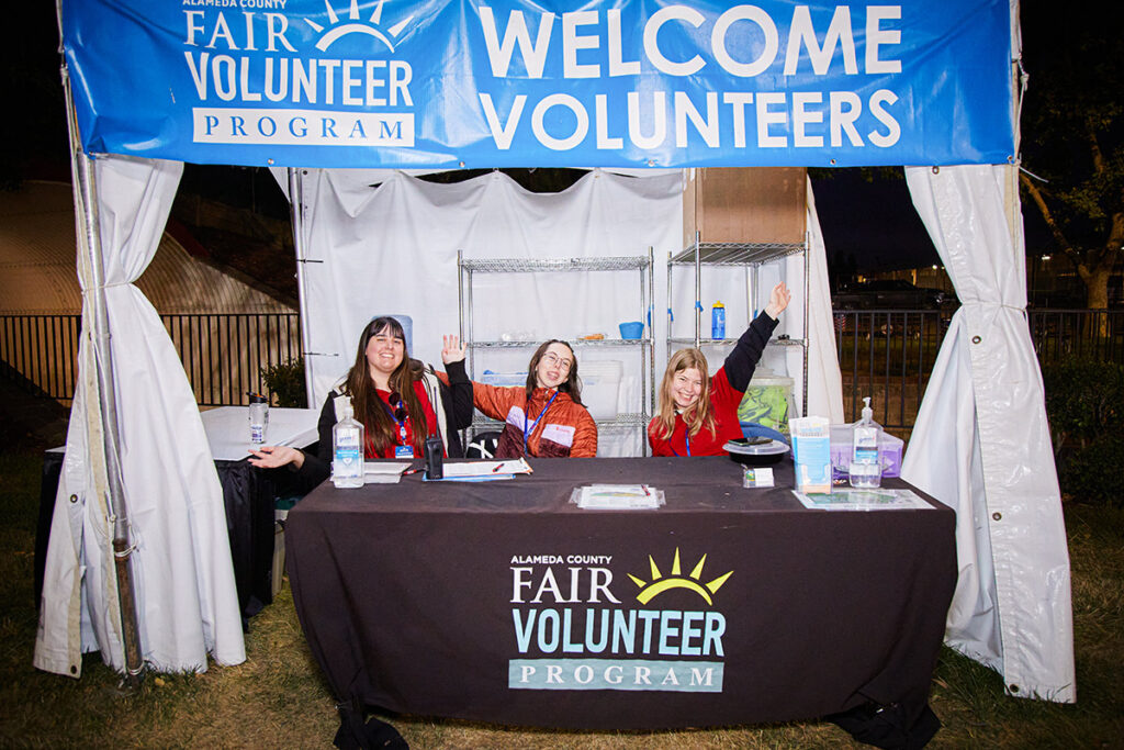 Volunteering at the Fair - group of volunteers at the volunteer table